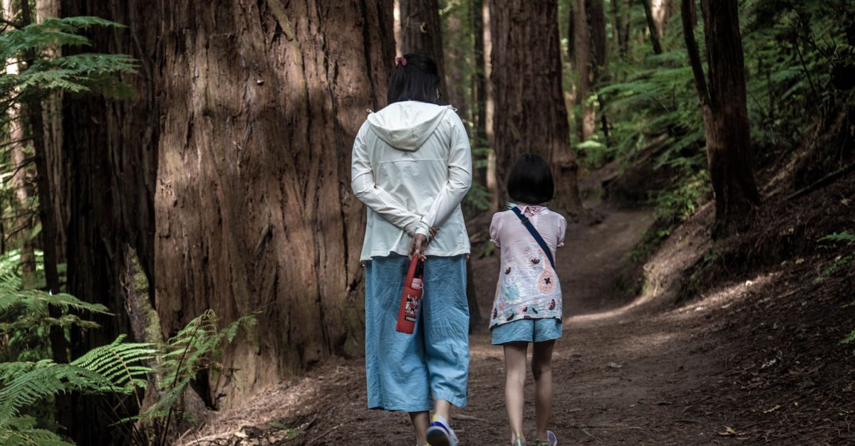 A mother and daughter enjoy a peaceful walk through a forest trail, surrounded by towering trees.