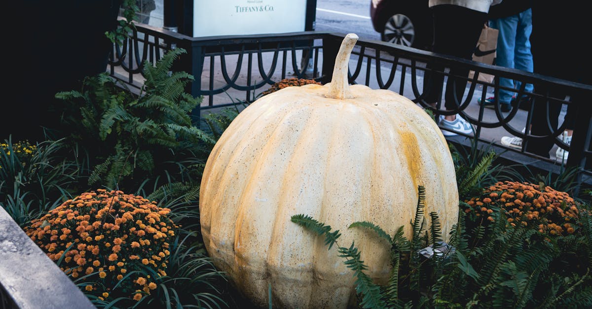 A large white pumpkin surrounded by green plants and flowers outside a store.