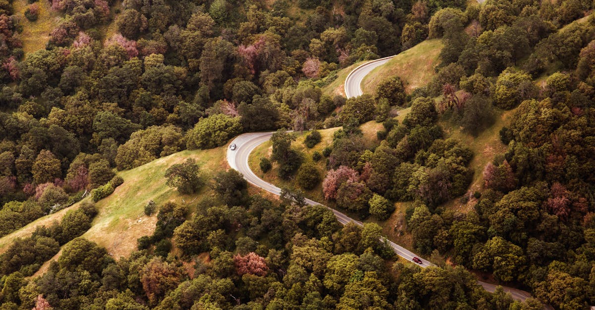 A scenic aerial view of a winding road through a vibrant forest in Sanger, CA during fall.