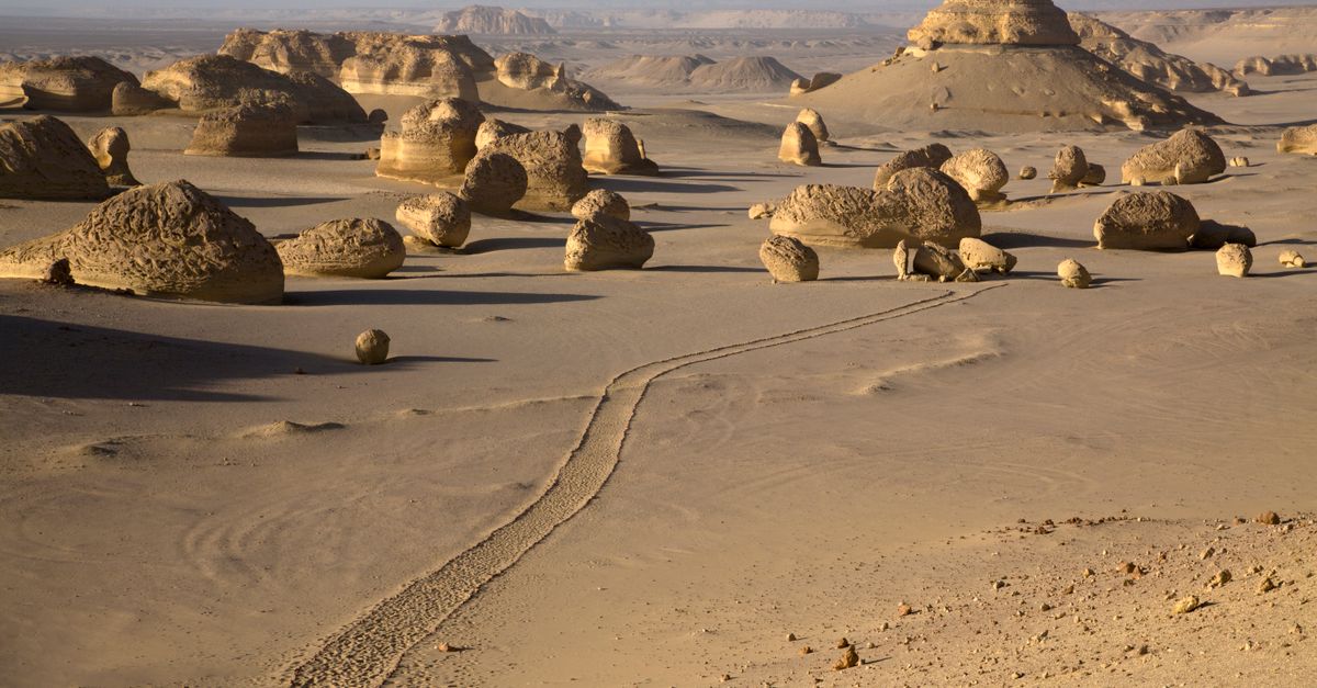 Explore the unique rock formations and tracks in the arid desert landscape of Egypt's UNESCO-listed site.