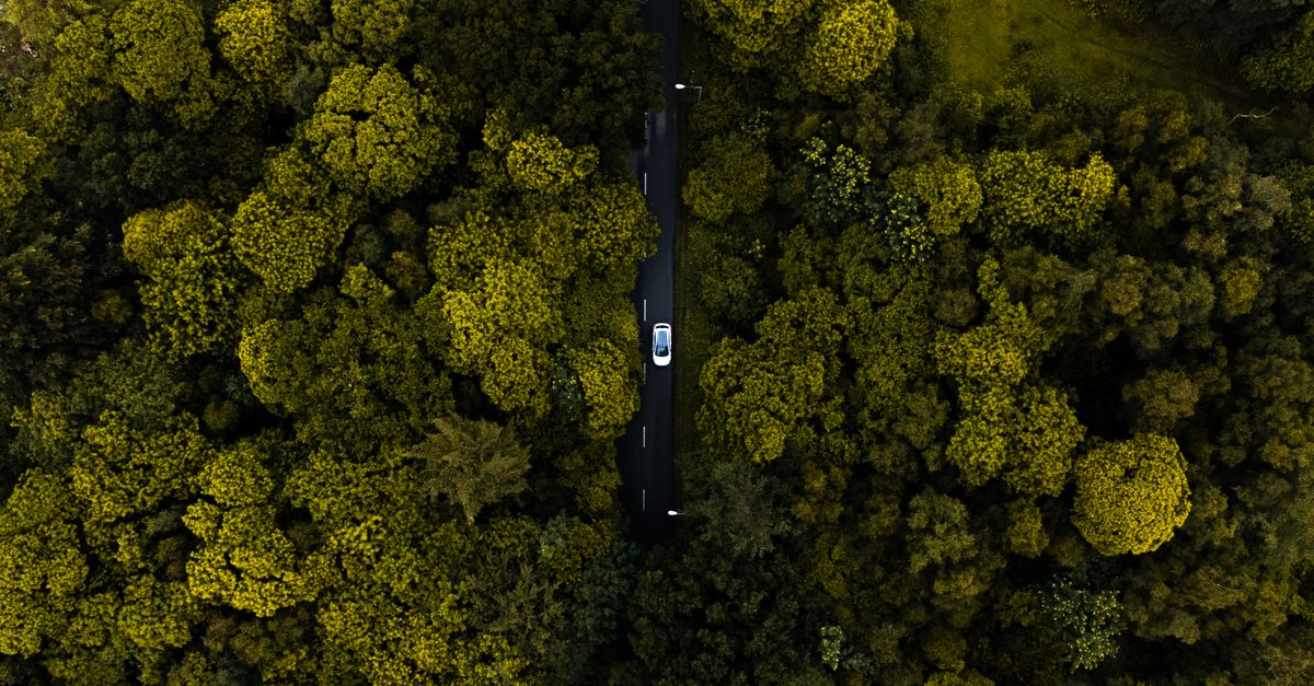 third_section_image_data.image_alt
