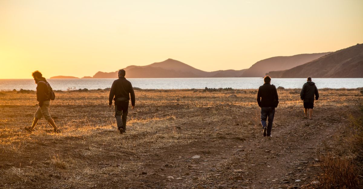 Four people walking across a field towards a sunlit beach, capturing the tranquil sunset atmosphere.