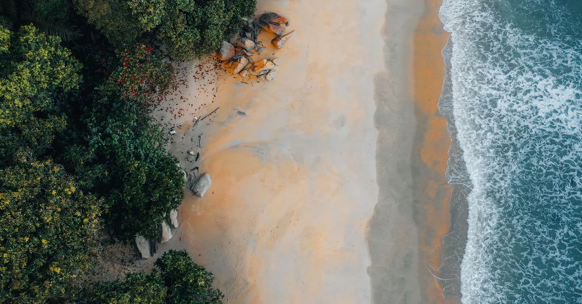 third_section_image_data.image_alt