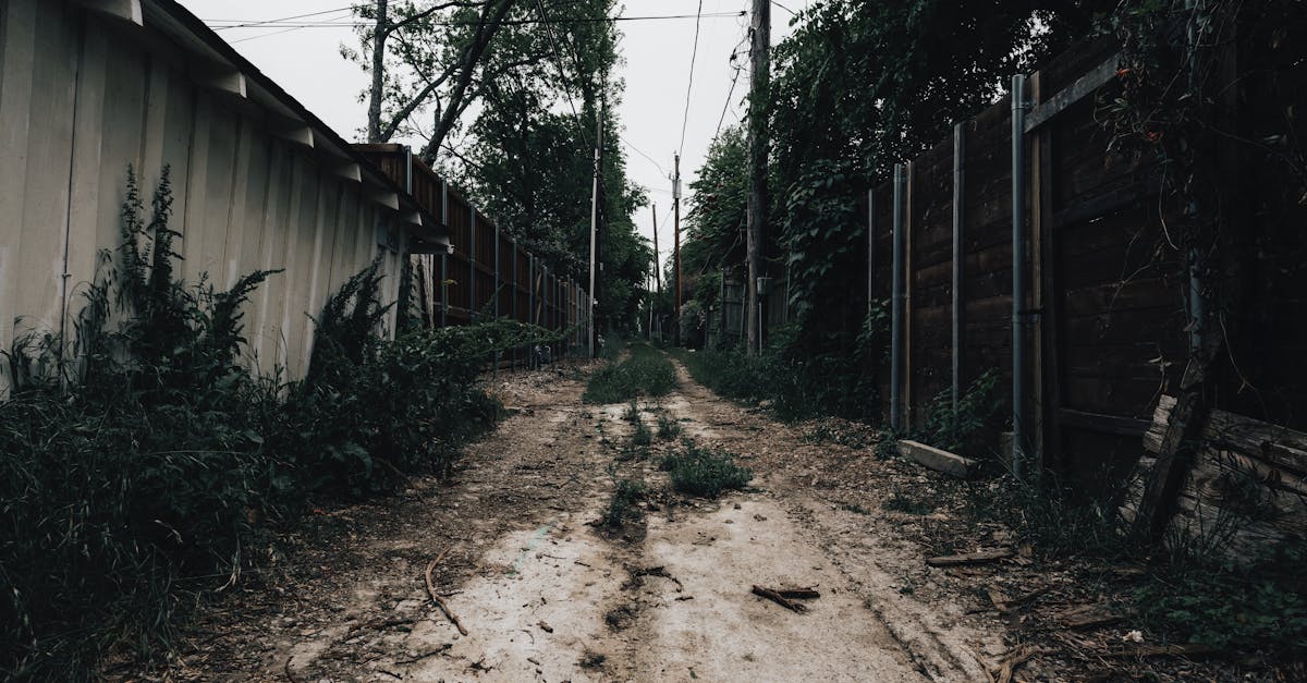Explore a narrow, unpaved alley with fences and overgrown greenery on a moody day.
