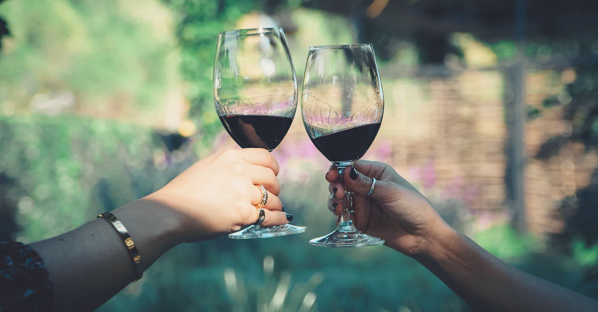 Two people toasting with red wine glasses in a beautiful outdoor setting, capturing a celebratory moment.