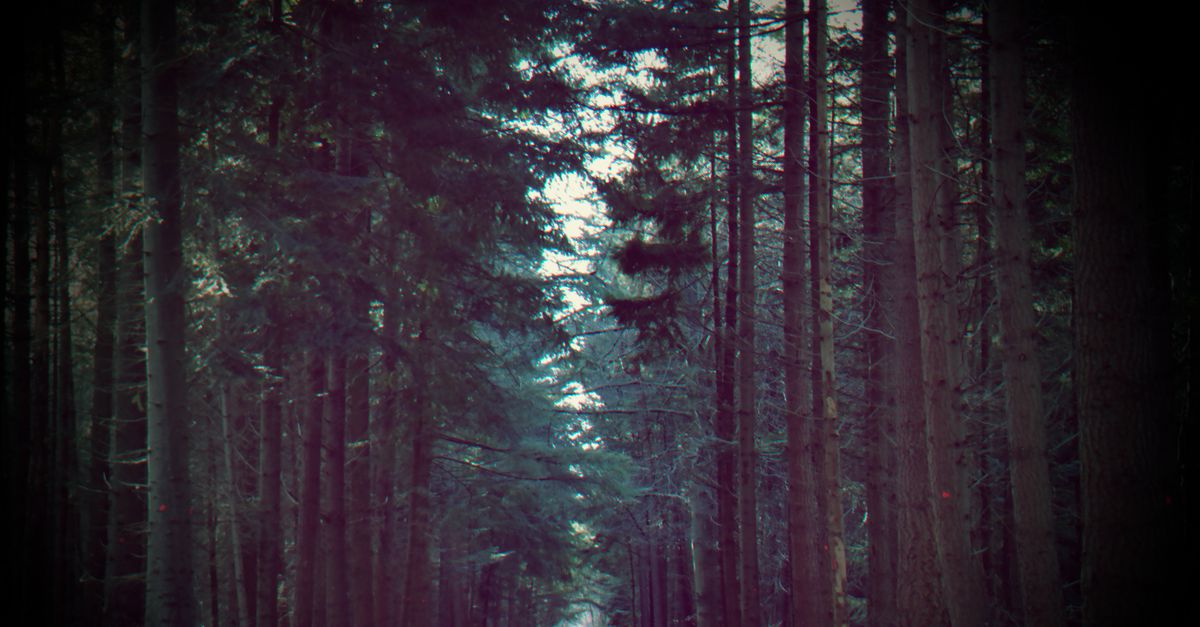 third_section_image_data.image_alt