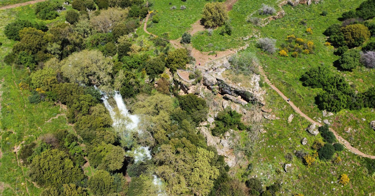 A stunning aerial view of a lush forest with a cascading waterfall in northern Israel