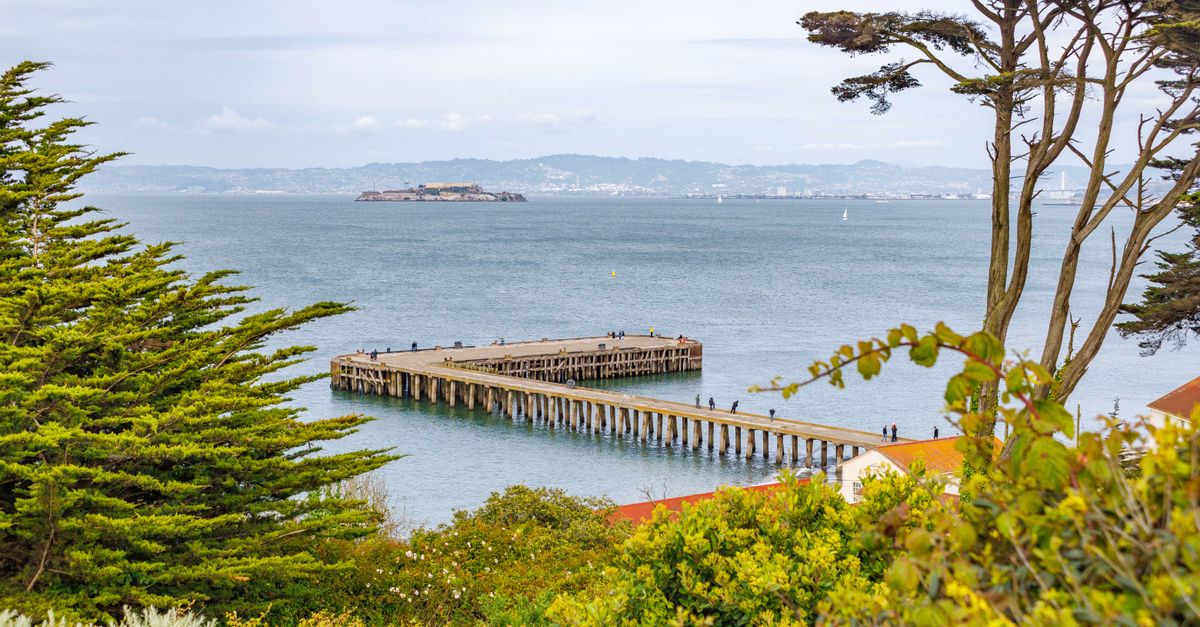 A picturesque view of a pier extending into the ocean with a distant island and lush greenery.