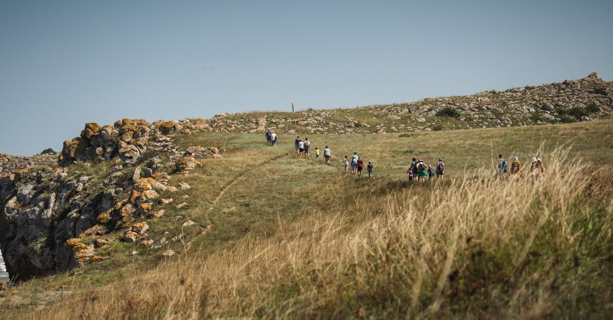 A group of hikers walking along a scenic rocky coastline with grassy fields under a clear blue sky.