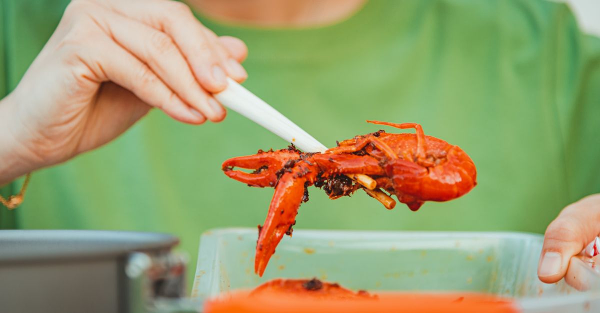 A hand using chopsticks to serve vibrant red lobster from a pot.