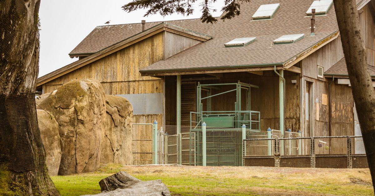 A rustic wooden building surrounded by nature, with trees and rocks in the foreground.
