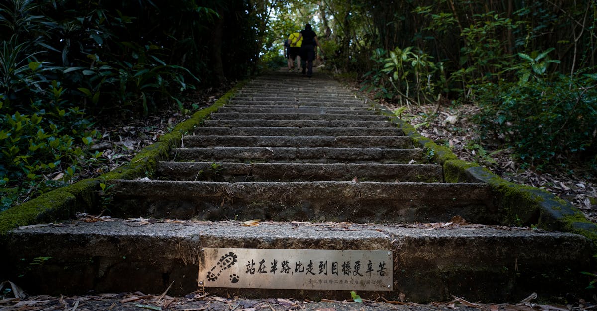 Low angle view of a moss-covered stone stairway in a forest with a motivational sign at the bottom.