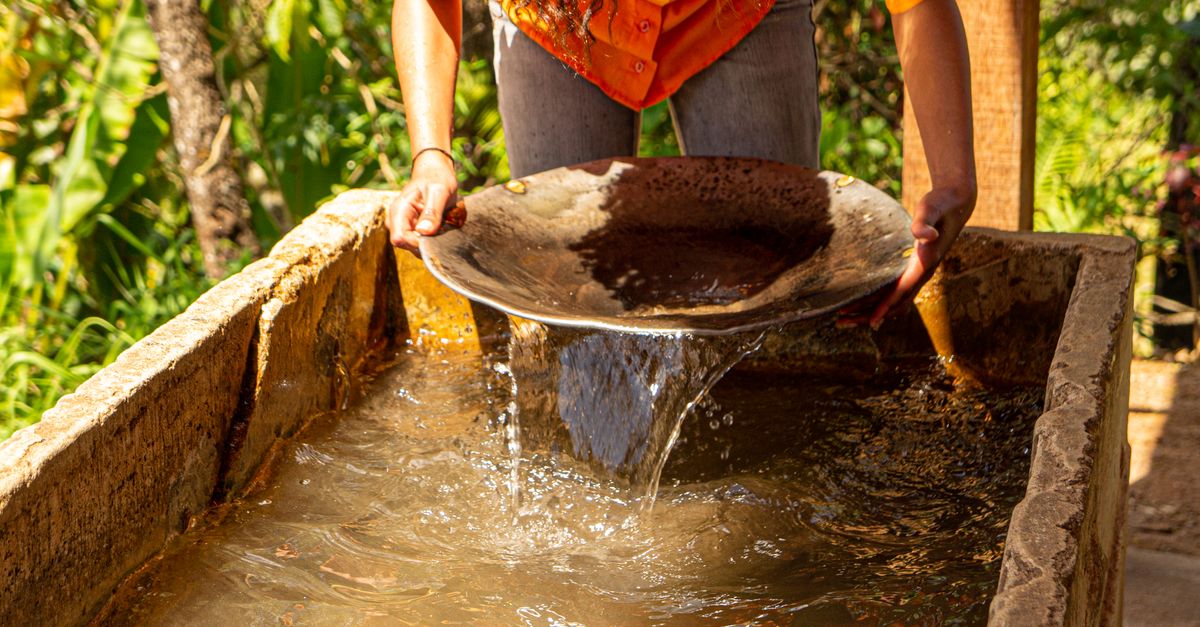 Person gold panning with traditional methods, sifting water in a sunny outdoor setting.