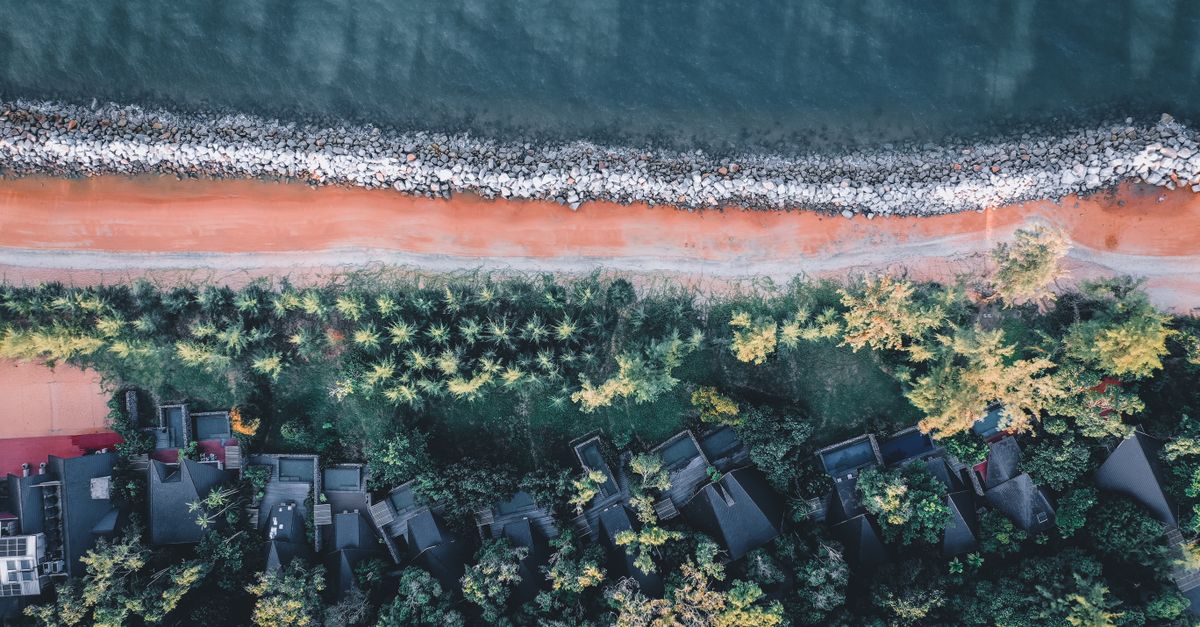 Aerial view of coastal houses with lush greenery and sandy beach below.