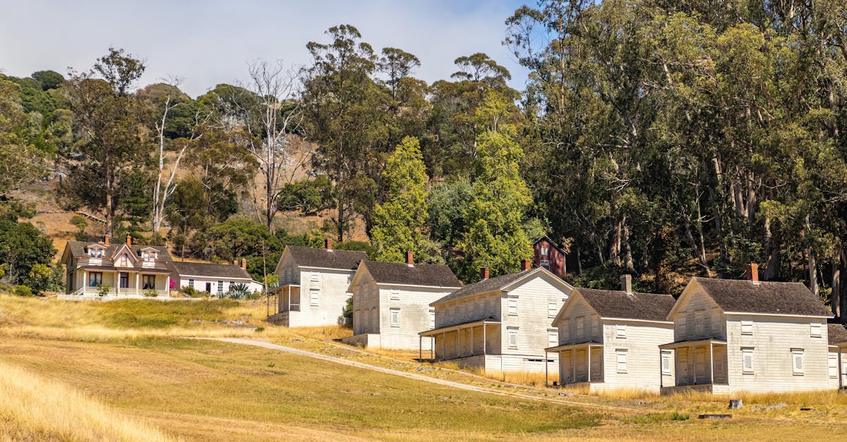 Idyllic rural village scene with vintage wooden houses surrounded by nature during summer.