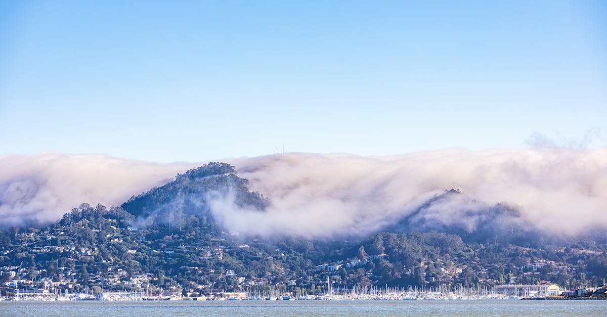 Soft clouds drape over tree-filled hills and a distant marina in Marin County.