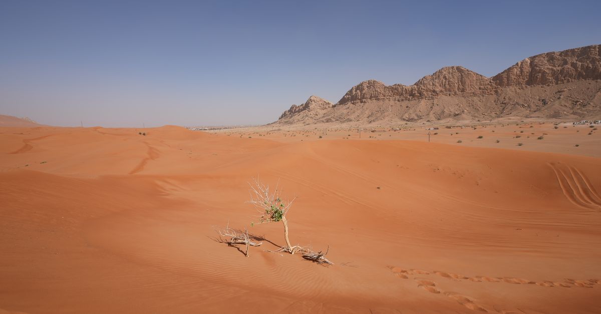 A vast sandy desert landscape under a clear blue sky with distant rugged mountains.