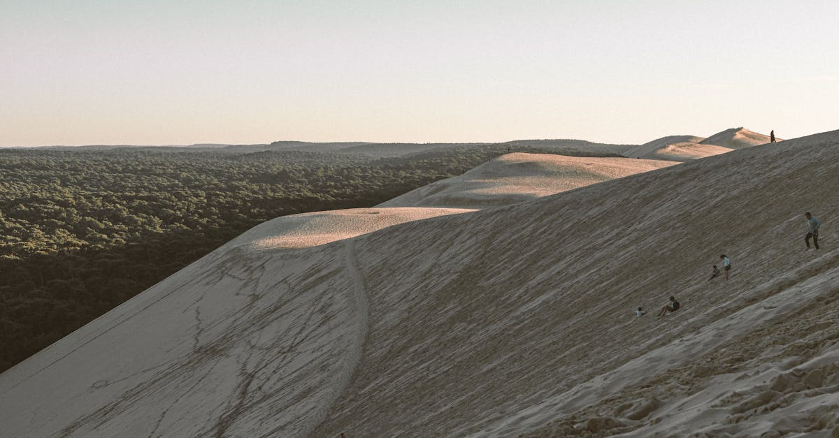 third_section_image_data.image_alt