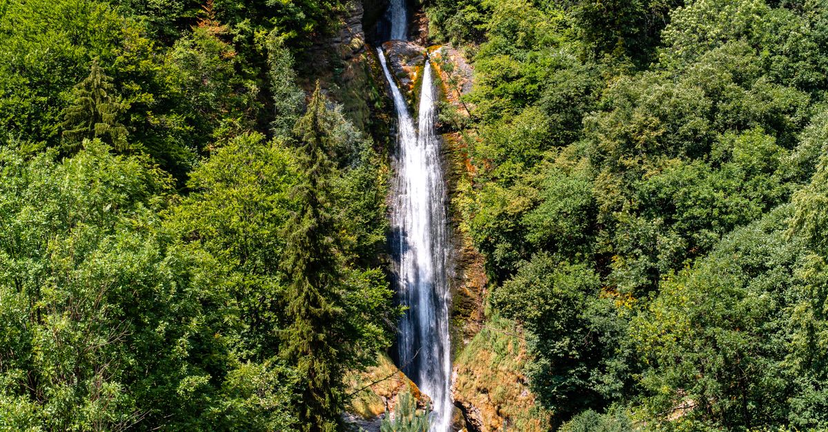 A majestic waterfall cascading through dense green forest, showcasing nature's tranquility.