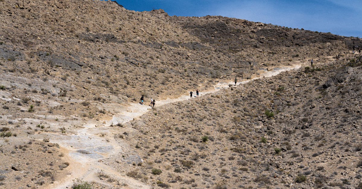 A group of hikers traversing a rocky desert trail under a clear blue sky.