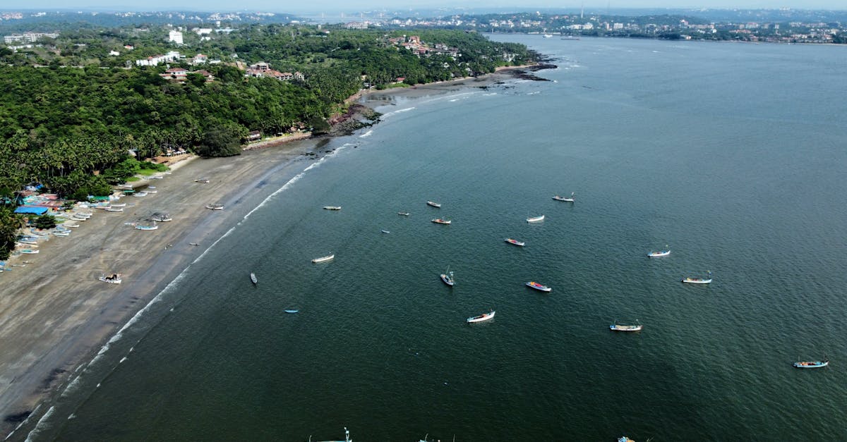 A stunning aerial view of a beach lined with lush greenery and dotted with fishing boats in summer.