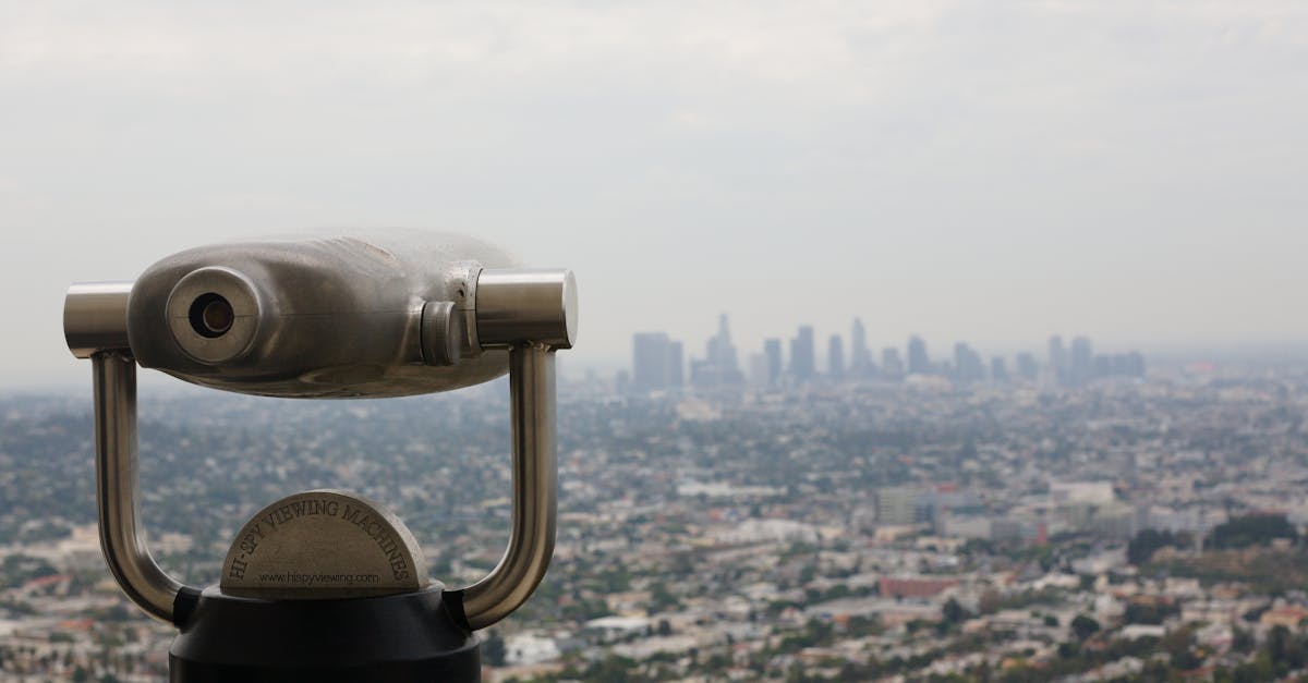 Cityscape featuring a telescope overlooking a sprawling urban skyline under a cloudy sky.