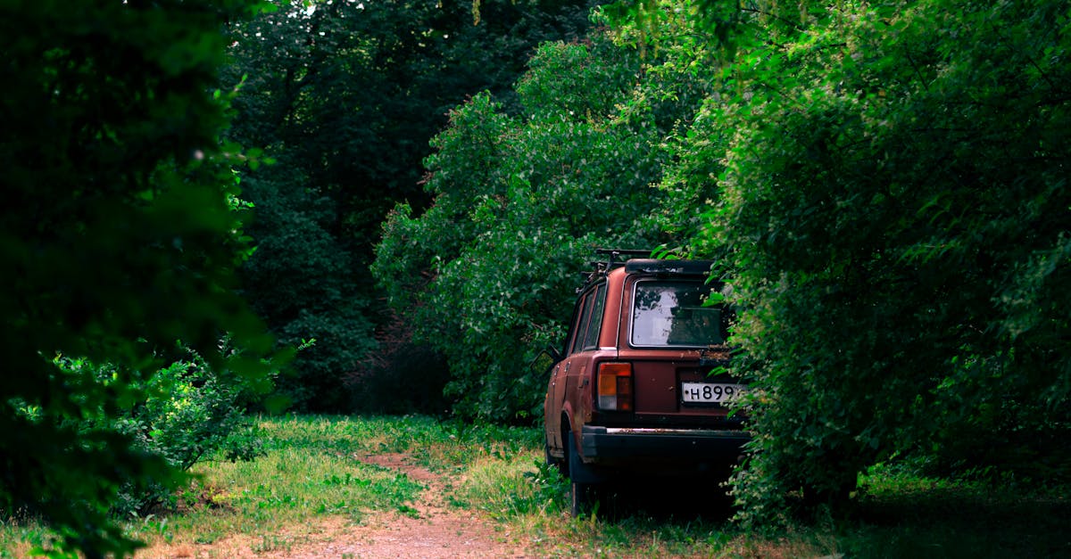 A retro car parked in a secluded forest area, surrounded by lush greenery. Captures a serene and nostalgic vibe.