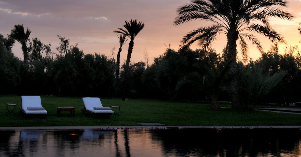 Serene sunset view of palm trees and loungers by a tranquil pool in Marrakech.