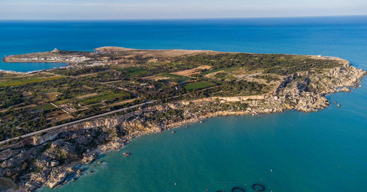 Stunning aerial view of Mellieħa's rocky coastline with turquoise waters and green landscapes in Malta.