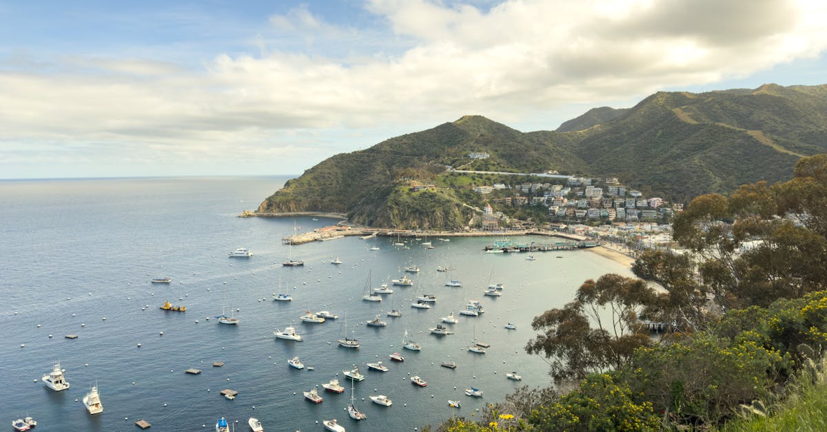 Stunning aerial view of Catalina Island's harbor with boats and scenic mountains.
