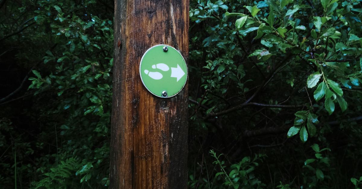 A wooden post with a green directional sign stands amidst vibrant forest foliage, indicating a hiking path.
