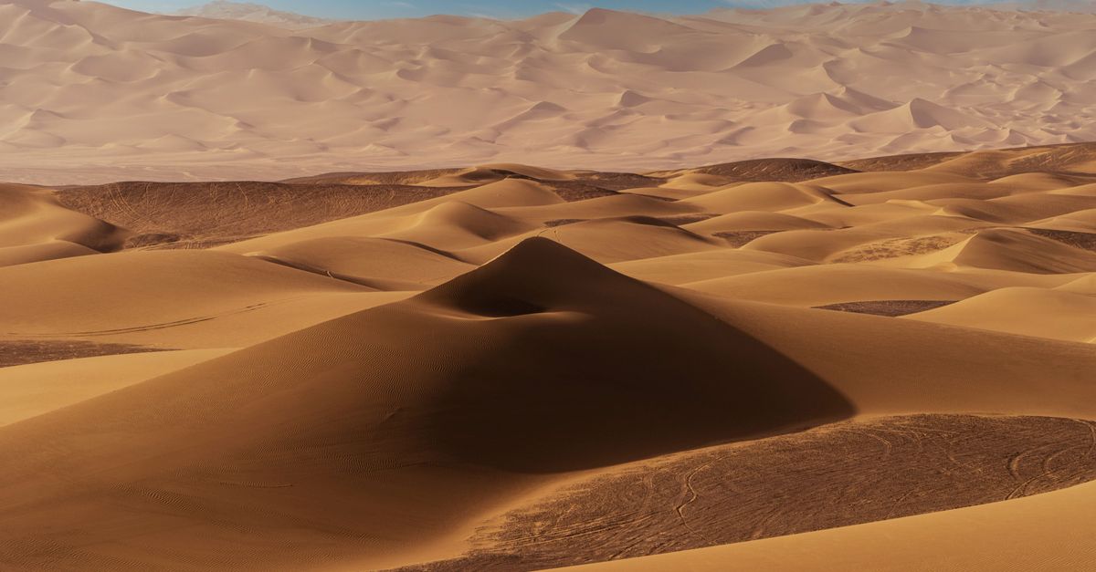 third_section_image_data.image_alt