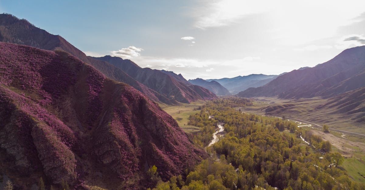 A breathtaking view of the Большой Яломан valley in Altai with lush greenery and mountains.