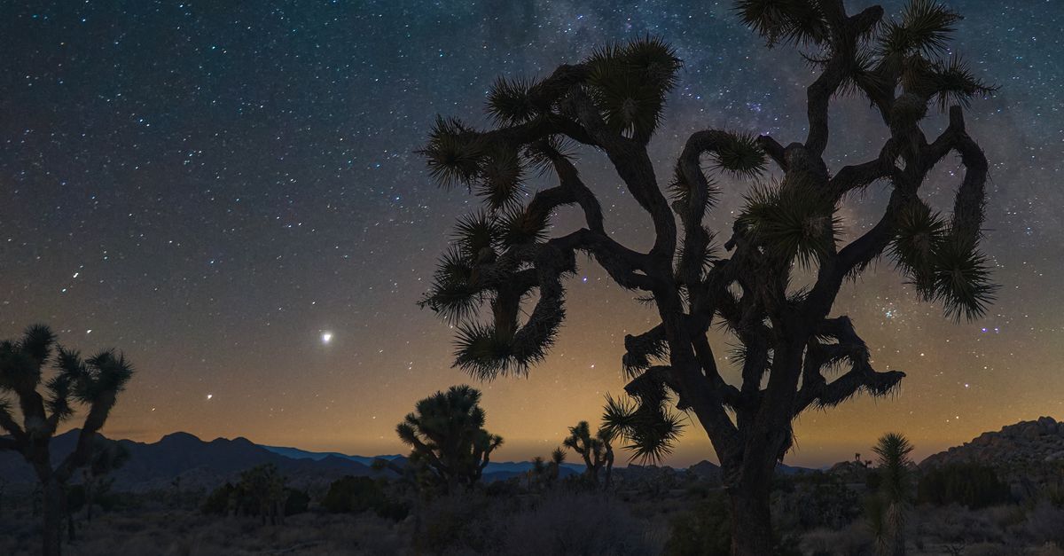 Starry night sky over Joshua Tree National Park with iconic desert landscapes and clear view of the Milky Way.