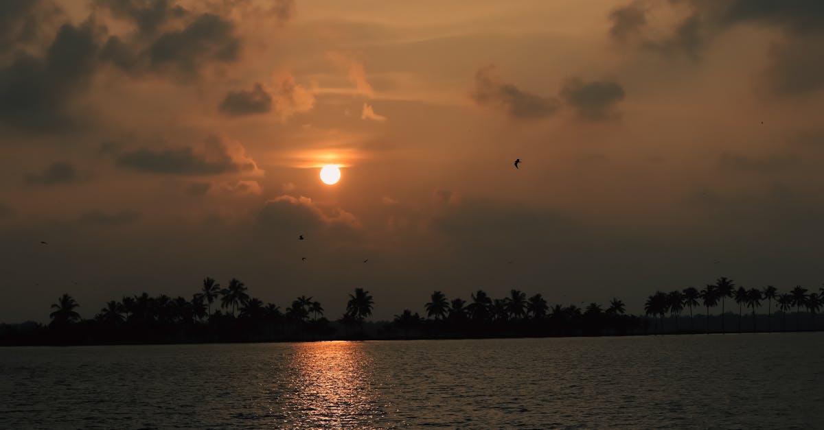 A tranquil sunset view over the calm waters and palm trees in Kuttanad, Kerala, India.