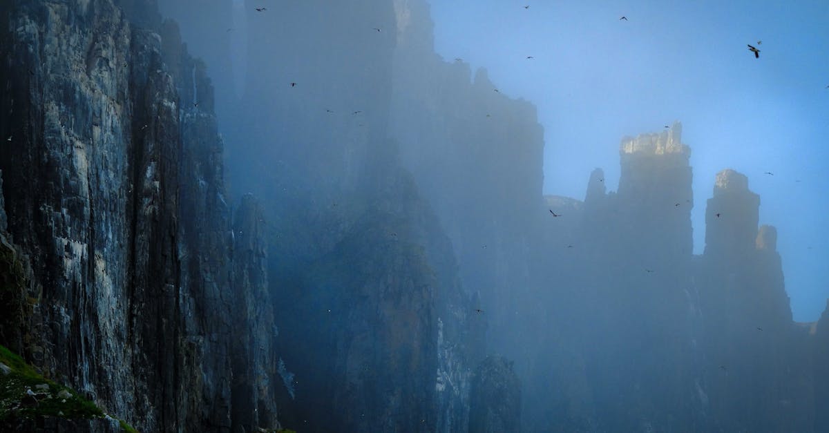 Dramatic misty cliffs with birds soaring through the foggy sky.