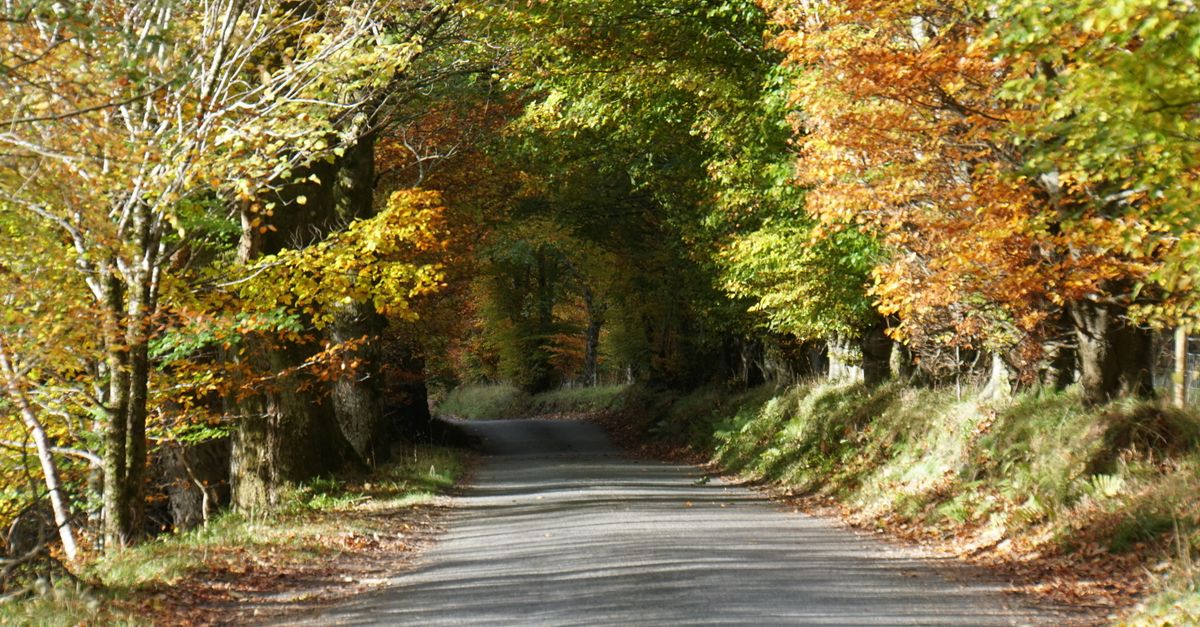 A picturesque rural road surrounded by vibrant autumn foliage in Coshieville, Scotland.
