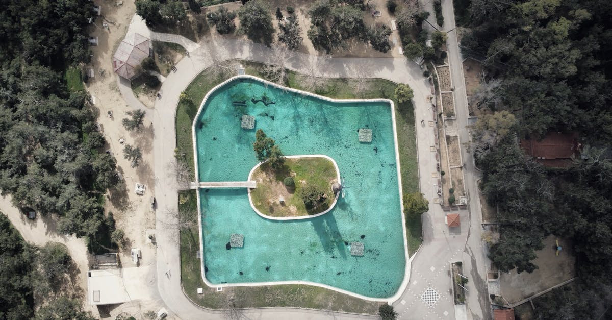 An aerial shot of a park with a large pond surrounded by trees in an urban setting.