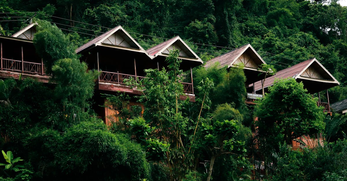 Charming wooden houses nestled within a dense and vibrant tropical forest.