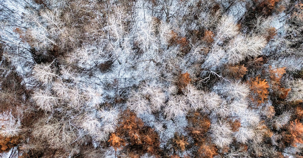 third_section_image_data.image_alt