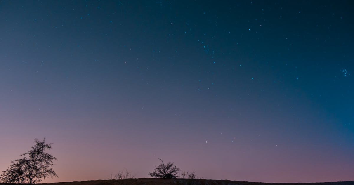 third_section_image_data.image_alt