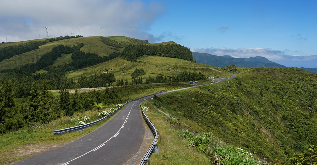 A winding road cuts through verdant hills with wind turbines and trees under a clear blue sky.