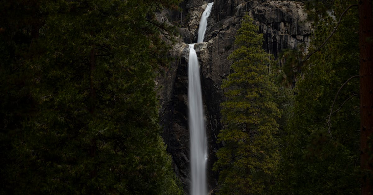 third_section_image_data.image_alt