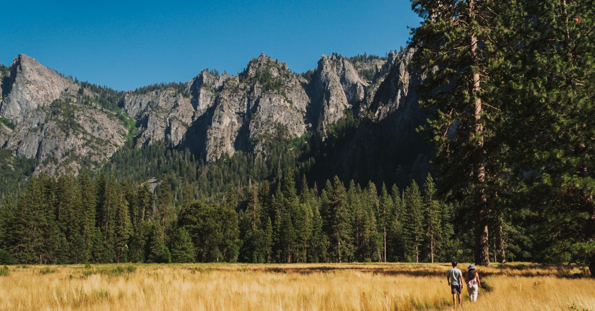 Experience nature's beauty with a scenic walk through Yosemite Valley's golden fields under majestic cliffs.