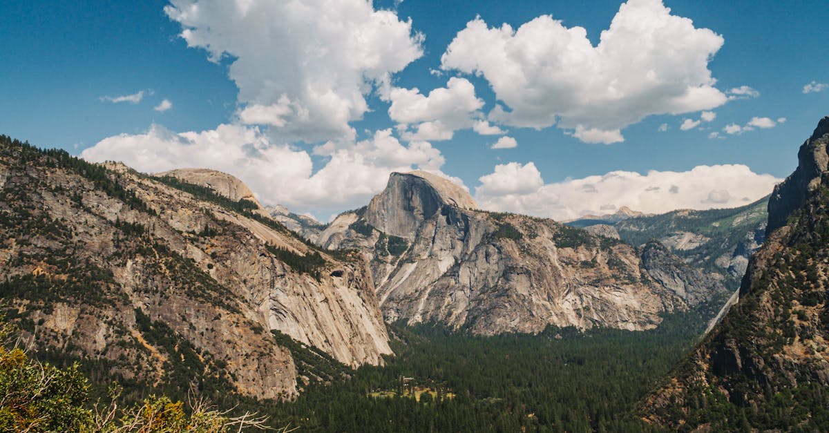 Breathtaking view of Half Dome and lush valley in Yosemite National Park under a clear sky.