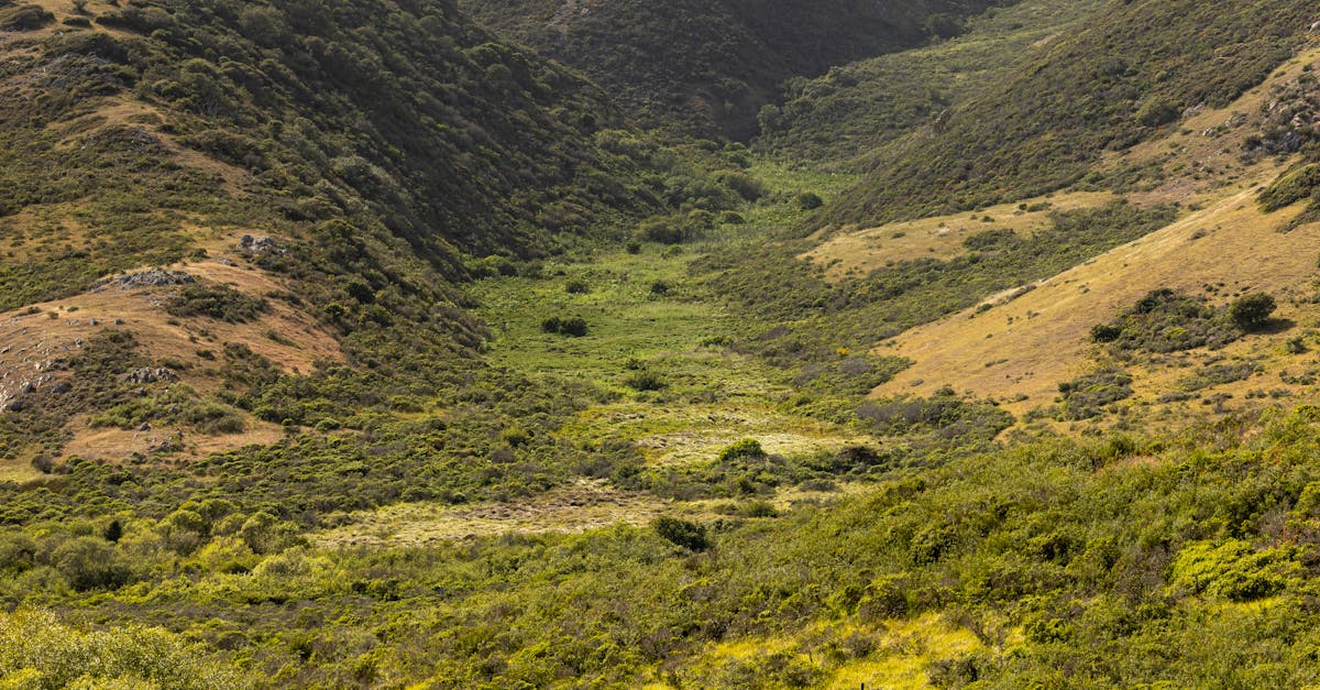 Serene landscape view of a lush green valley surrounded by rolling hills under clear skies.