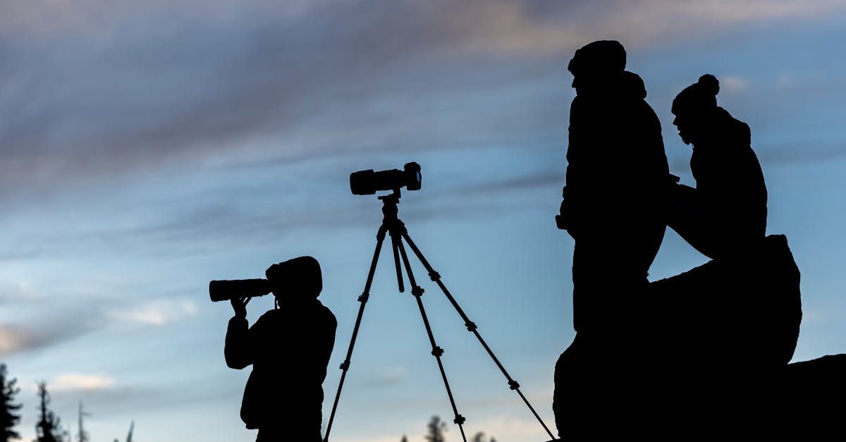 Silhouette of photographers capturing nature with cameras during twilight. Stunning landscape setting.