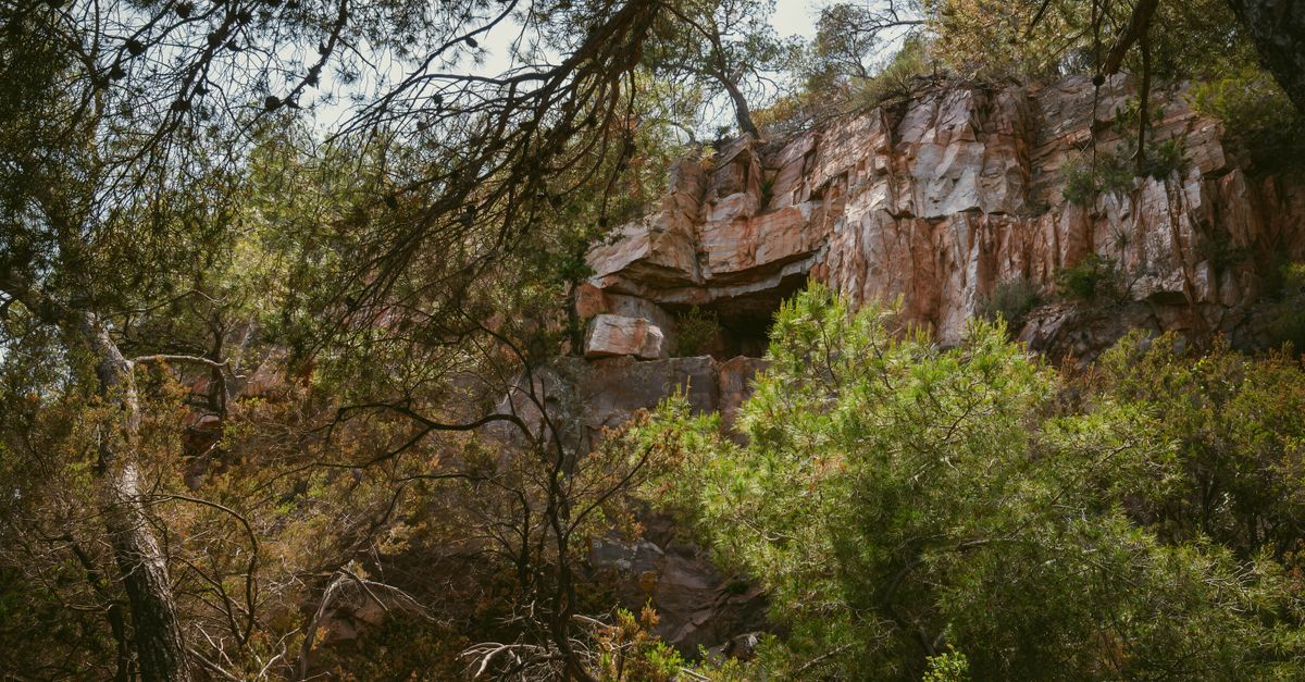 Explore the hidden cave amidst Le Pradet's lush greenery and rugged mountainside.