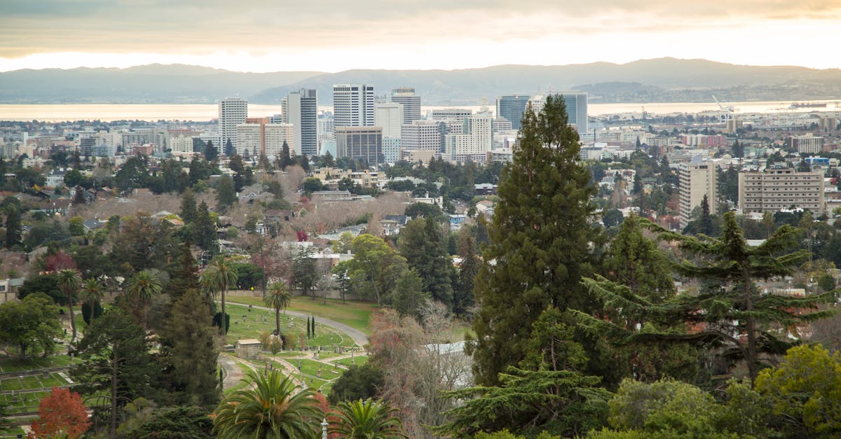 View of Oakland skyline with lush greenery and bay in the background showcasing urban nature harmony.