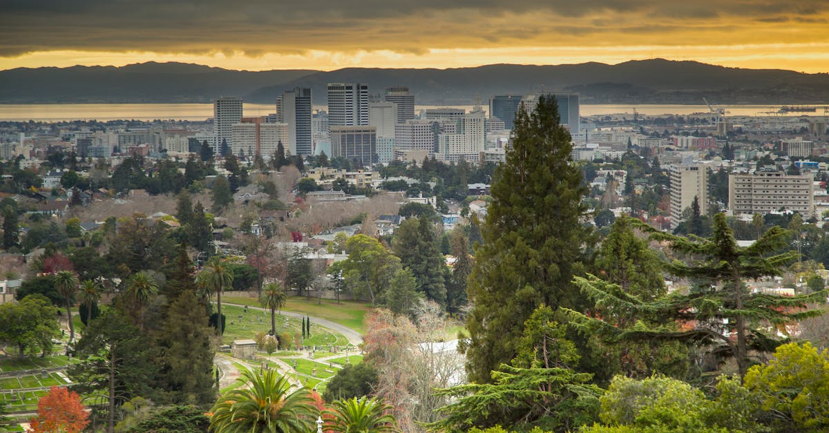 Stunning view of Oakland skyline and lush foreground at sunset.